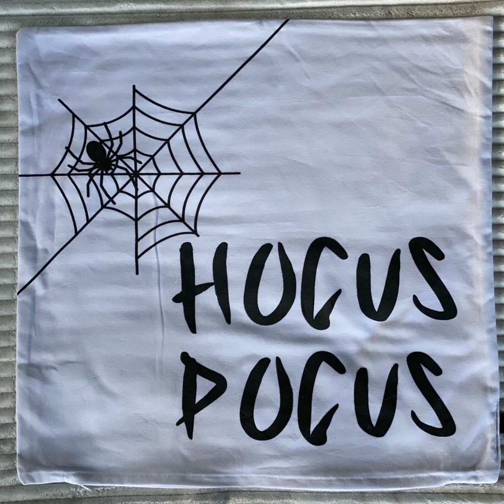 Hocus Pocus spiderweb pillow cover